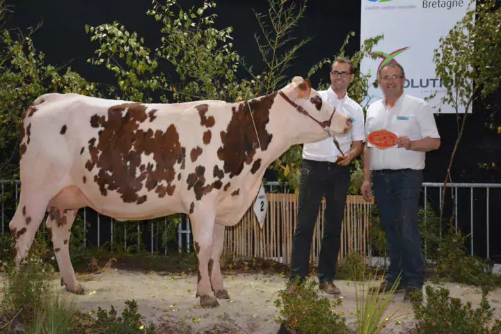 Malise, Championne jeune, est une fille d'Ibernatus sur Ucany.