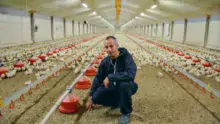 Marc Cornec, président du groupement des éleveurs Yer Breizh.