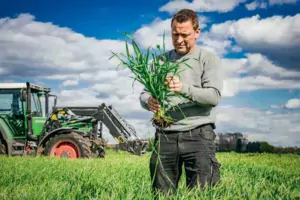 Pour acheter un produit phytosanitaire, tout agriculteur devra bientôt présenter un justificatif de délivrance d’un conseil annuel indépendant.