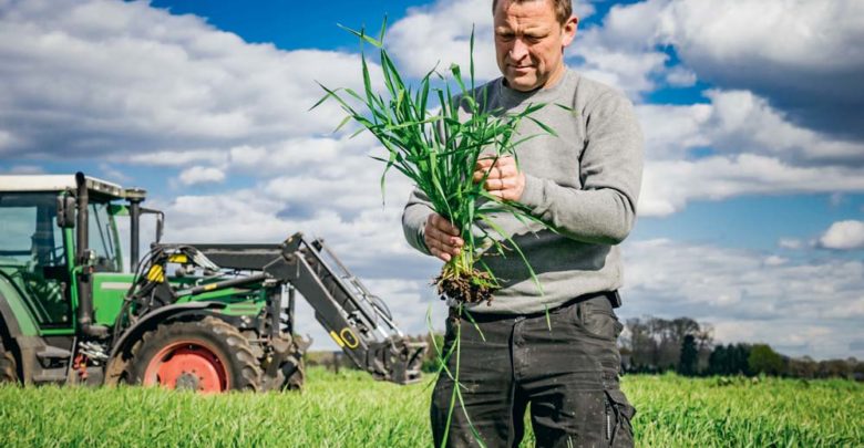 EGAlim  L’indépendance du conseil phytosanitaire gravé dans la loi