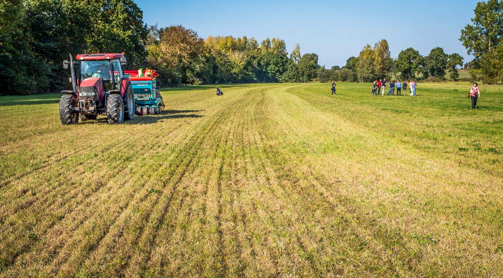 La Cuma d’Yffiniac utilise cet outil pour le semis direct des céréales et des couverts. Celui-ci est aussi adapté au sursemis de prairie. - Illustration Redonner de la valeur à la prairie grâce au sursemis