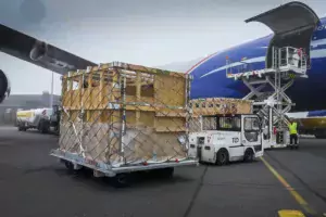 L’aéroport de Brest est équipé en matériel de chargement, des caisses spécifique au transport d’animaux ont été mises au point.