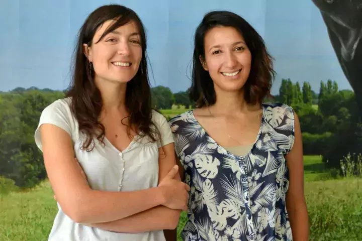 Clémence Morinière et Rim Chaabouni, permanentes de la Fédération des Races de Bretagne. Installées dans les locaux de la chambre régionale d’agriculture, elles sont employées par le Groupement d’intérêt économique « Élevages de Bretagne ».