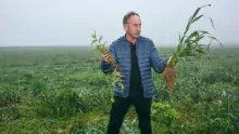 Jean-Luc Le Bénézic a présenté l’essai en cours, composé de dérobée et de couverts végétaux divers.