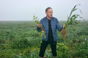 Jean-Luc Le Bénézic a présenté l’essai en cours, composé de dérobée et de couverts végétaux divers.