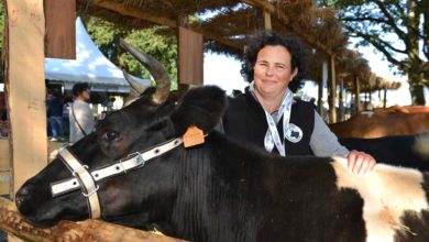Photo of Les éleveurs ont pris le taureau par les cornes