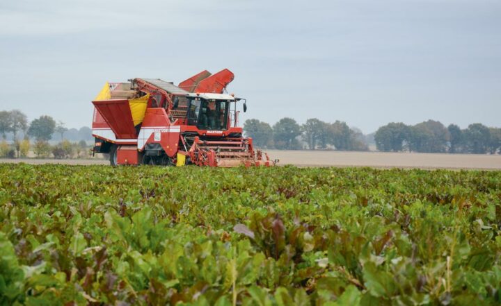 Les récoltes réalisées par l’ETA s’étalent de mi-octobre à fin novembre.