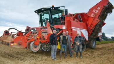 Photo of 300 ha de betteraves récoltés par l’ETA Corbes
