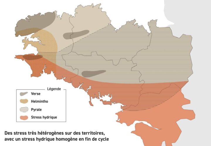 Carte des menaces observées en Bretagne en 2018.