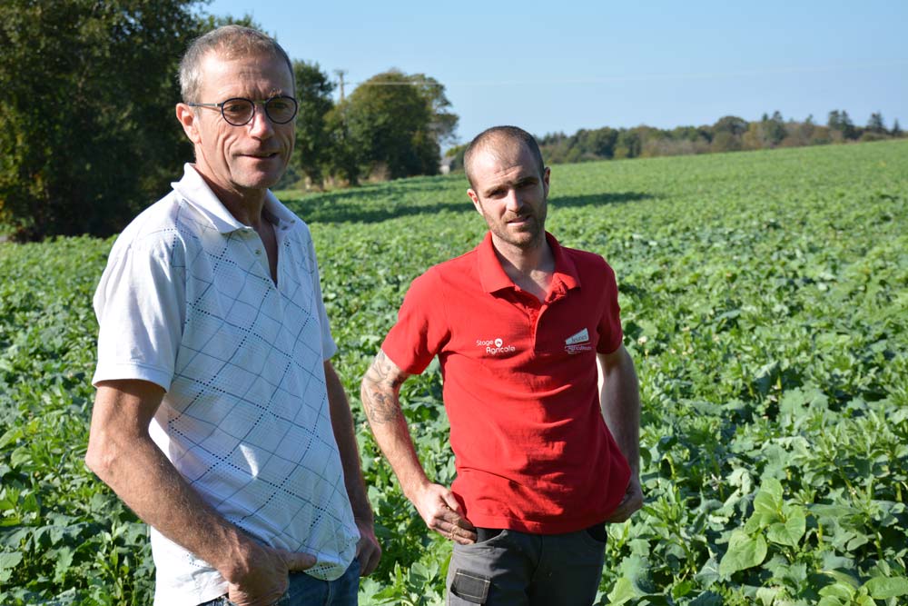 Hubert et Thibaut Le Masle - Illustration L’EARL Ar Voustoer en semis direct depuis 4 ans