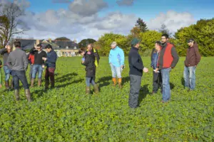 Une quinzaine d'agriculteurs ont visité la parcelle d'essai de David Christien (en rouge), mardi 13 novembre. La visite était organisée par le Gab et par Lorient Agglomération (BV du Scorff).