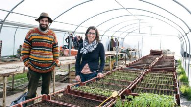 Photo of “Les fruits et légumes, filière oubliée des pouvoirs publics”