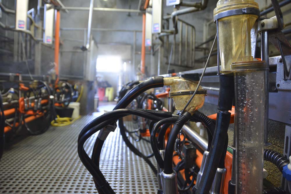 Le technicien vérifie la bonne circulation de l’eau dans l’installation, ainsi que la bonne répartition de l’eau de lavage. - Illustration Vérifier le lavage de son installation de traite
