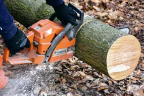 coupe-bois-tronconneuse