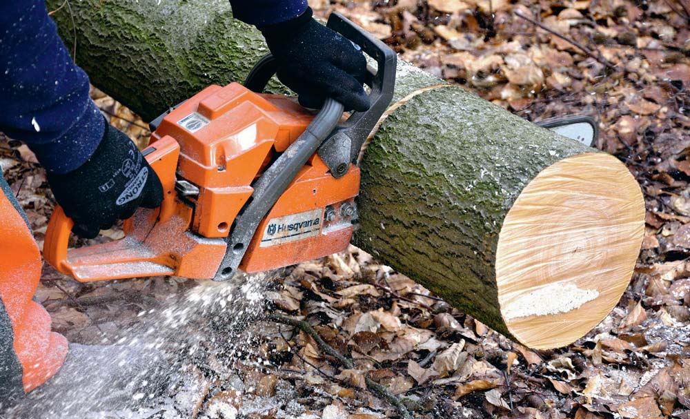 coupe-bois-tronconneuse - Illustration Prêt pour le bois ?