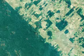 Recul de la forêt Amazonienne ©Google Maps
