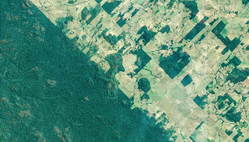 Recul de la forêt Amazonienne ©Google Maps - Illustration L’agriculture est “l’un des principaux moteurs” du déclin de la biodiversité, selon WWF