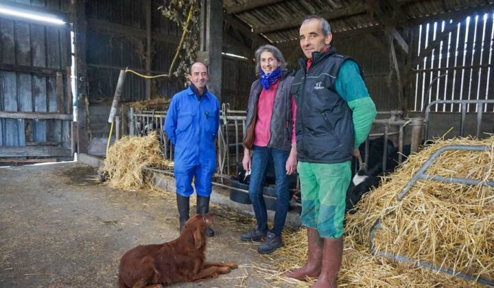 Nadine et Yvon Thomas observent beaucoup leurs animaux pour la prise de décision. À leurs côtés, Pascal Gaubert, technicien ruminants Triskalia.