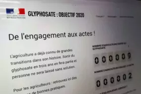 glyphosate-gouv