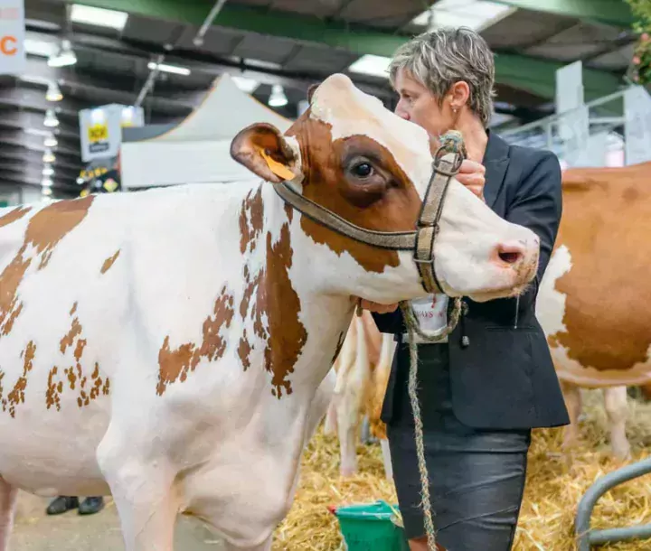 Présidente du syndicat de race et juge de concours, Gwénola Le Visage Tual a fait une halte au Space lors du concours Pie Rouge.