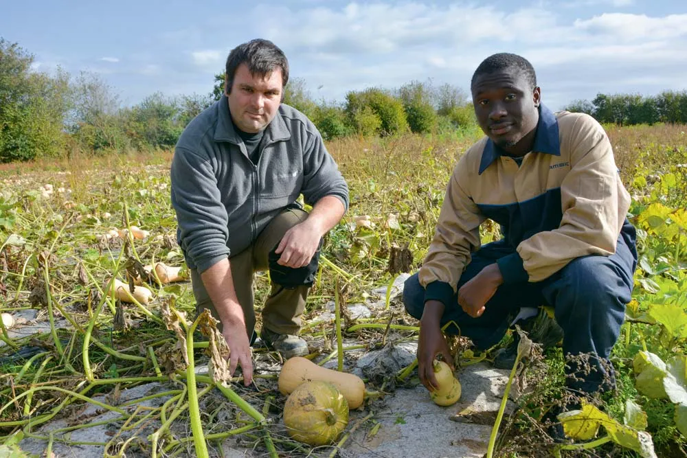 Sébastien Louarn, à gauche, est animateur technique et scientifique à la PAIS à Suscinio, en compagnie de Malick Diedhiou, stagiaire de BTS APV. - Illustration Lutte contre les adventices : Se passer du plastique en paillage maraîcher