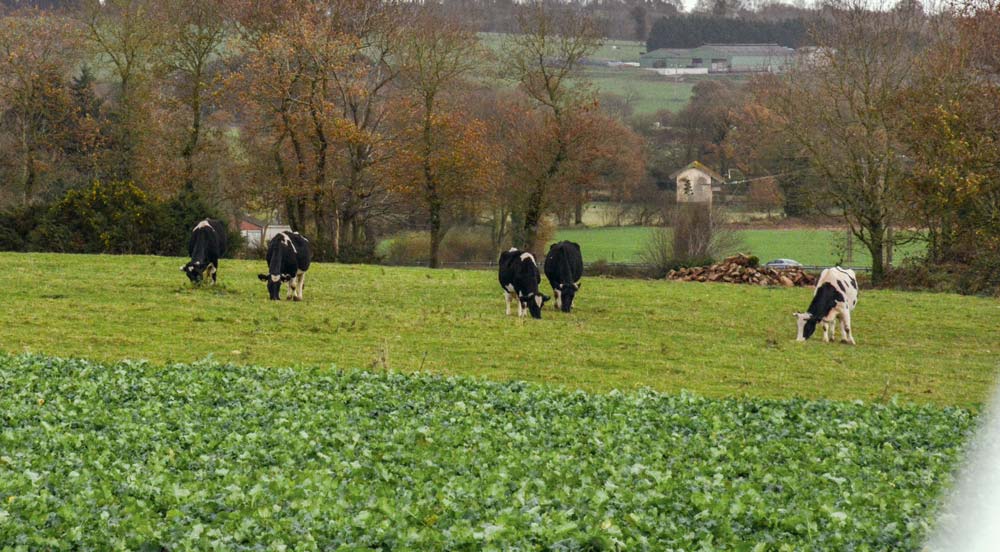 Pour la Cour des comptes européenne, la majeure partie du budget servira à financer des paiements directs, ne répondant pas à nombre de préoccupations environnementales. - Illustration PAC : “Mettre fin au règne des inégalités”