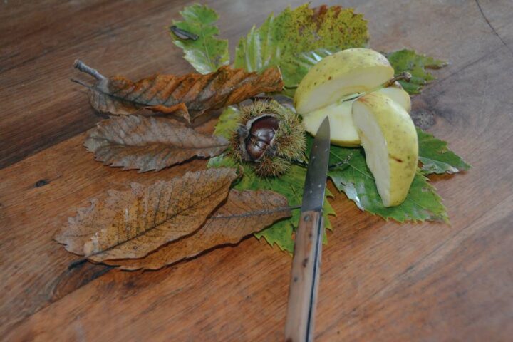 Les pommes ne se consomment pas toutes une fois tombées de l’arbre, certaines demandent une maturation.