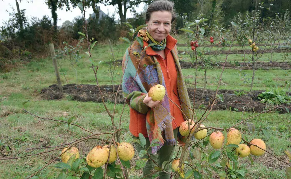 Florence Trémorin est installée à Taulé (29), et produit des plants de pommiers, de poiriers, mais aussi de nombreux autres fruitiers. - Illustration Le goût des pommes traditionnelles