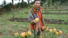Florence Trémorin est installée à Taulé (29), et produit des plants de pommiers, de poiriers, mais aussi de nombreux autres fruitiers.