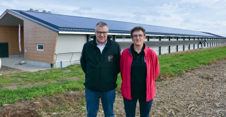 Un poulailler clé en main à moindre coût  Journal Paysan Breton