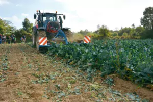 recolte-legume