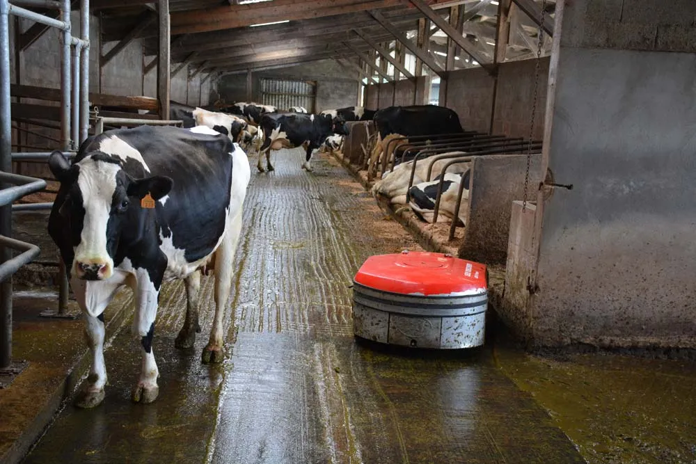 robot-traite - Illustration Robotiser pour gagner en souplesse de travail