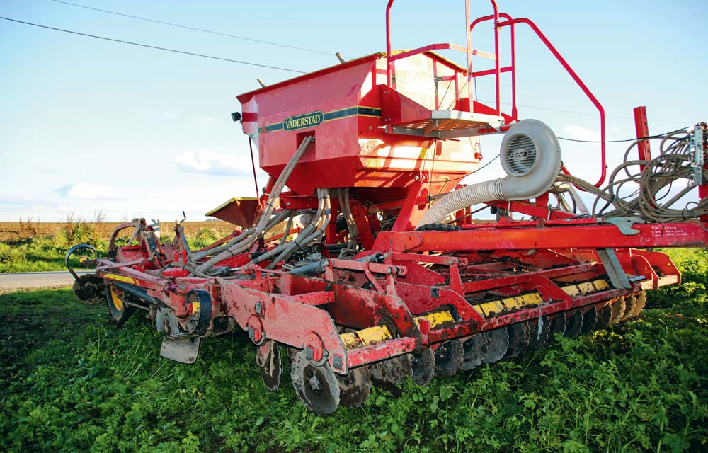 Le semis de céréales a été réalisé directement sur le couvert, le 30 octobre. - Illustration Des sols couverts après pomme de terre