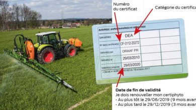 Photo of Renouveler votre certificat certiphyto dans les temps