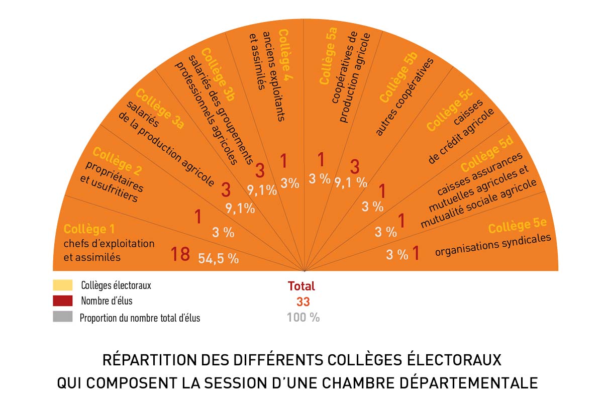  - Illustration Composition des Chambres d’agriculture : Un scrutin de liste à un tour