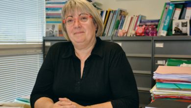 Photo of Recherche en production porcine : L’insémination artificielle unique, toujours en ligne de mire