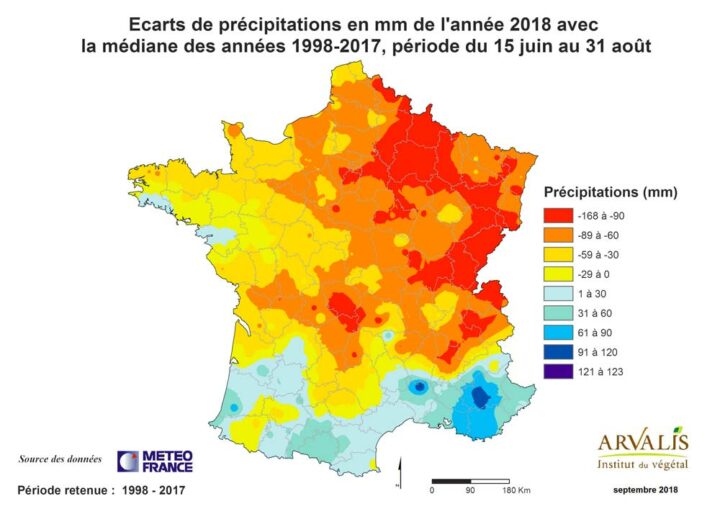 Sur la période de plus grande sensibilité des maïs, de mi-juin à fin août, le déficit pluviométrique en Bretagne et dans l’Ouest est resté modéré par rapport au reste du pays.