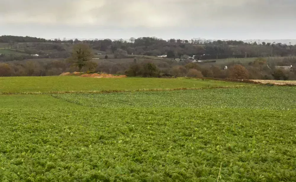  - Illustration Fin du bail rural à la retraite du preneur ?