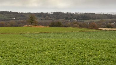 Photo of Fin du bail rural à la retraite du preneur ?