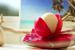 fromage-bel-babybel-yt