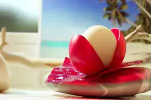 fromage-bel-babybel-yt