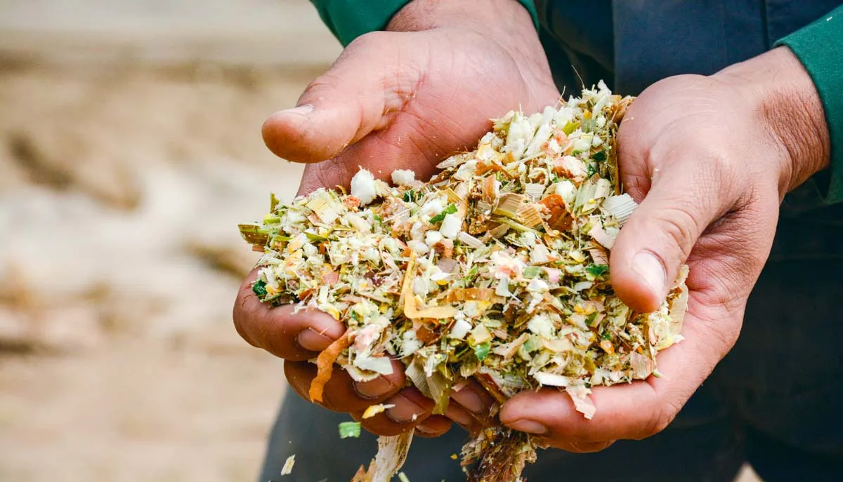 longueur-de-fibres-mais - Illustration Un hachage à adapter selon la distribution