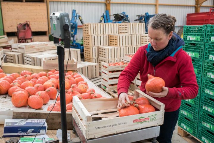 Certains légumes sont stockés sur site et séchés grâce à une soufflerie pour une conservation optimale avant commercialisation. Au total, l’atelier produit 12 légumes différents dont les potimarrons.