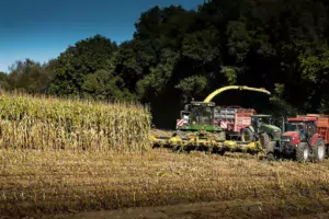 Dans un contexte de réchauffement climatique, l’herbe en Bretagne devrait bénéficier d’une pousse précoce et vigoureuse en sortie d’hiver. Mais son développement annoncé difficile en été fera du maïs une plante fourragère bien adaptée aux enjeux alimentaires des exploitations laitières.