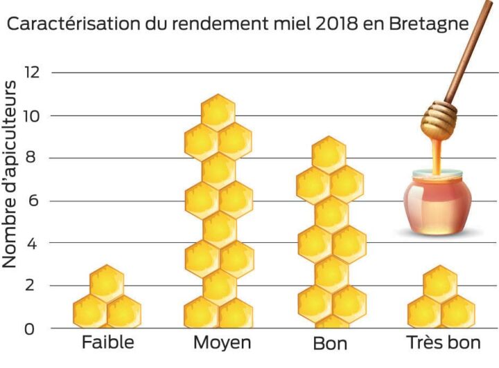 INFOGRAPHIE-MIEL