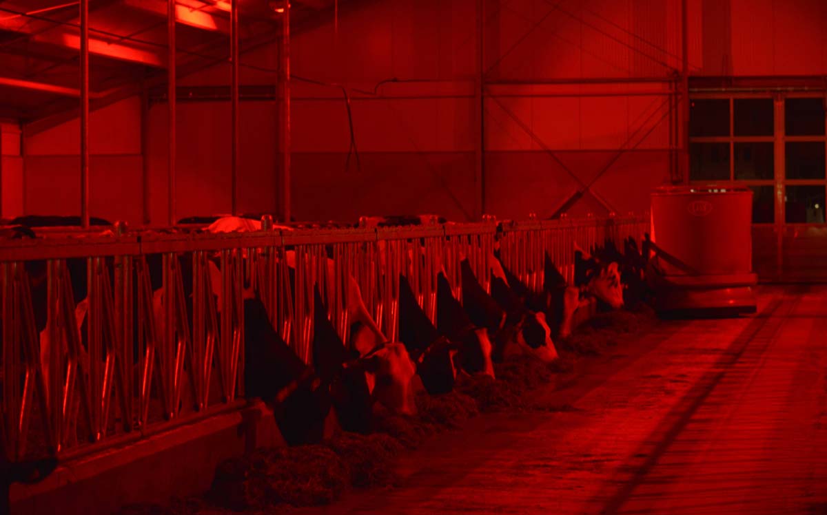  - Illustration Des nouvelles lampes à LED pour Lely