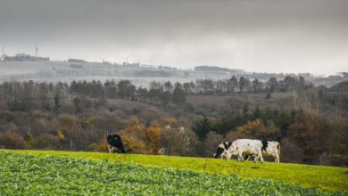 Photo of Une Europe “agro-écologique” est possible
