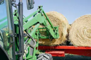 Face à la pénurie engendrée par la sécheresse, les éleveurs sont contraints d’acheter des fourrages et de la paille.