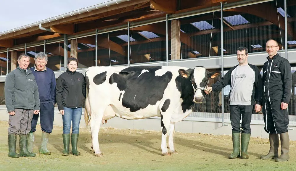 Gelée, du Gaec de l’Inam (56) - Illustration Des « pépites » dans les élevages