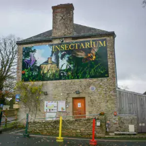 Une fresque géante indique l’entrée du lieu